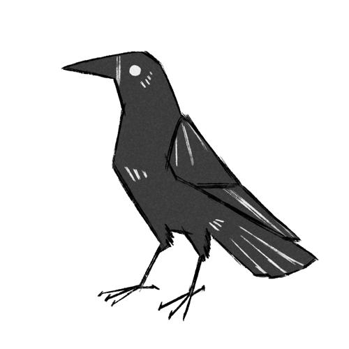 a sketchy black and white crow, facing left